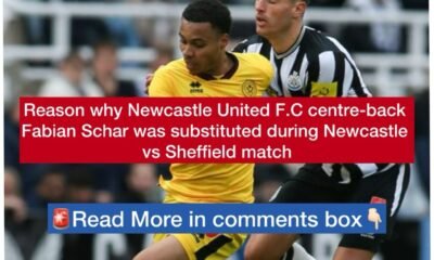 Reason why Newcastle United F.C centre-back Fabian Schar was substituted during Newcastle vs Sheffield match