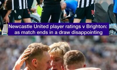 Newcastle United player ratings v Brighton: as match ends in a draw disappointing