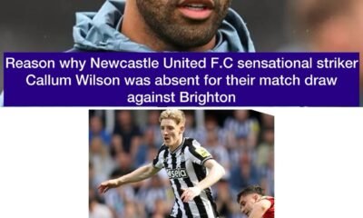 Reason why Newcastle United F.C sensational striker Callum Wilson was absent for their match draw against Brighton