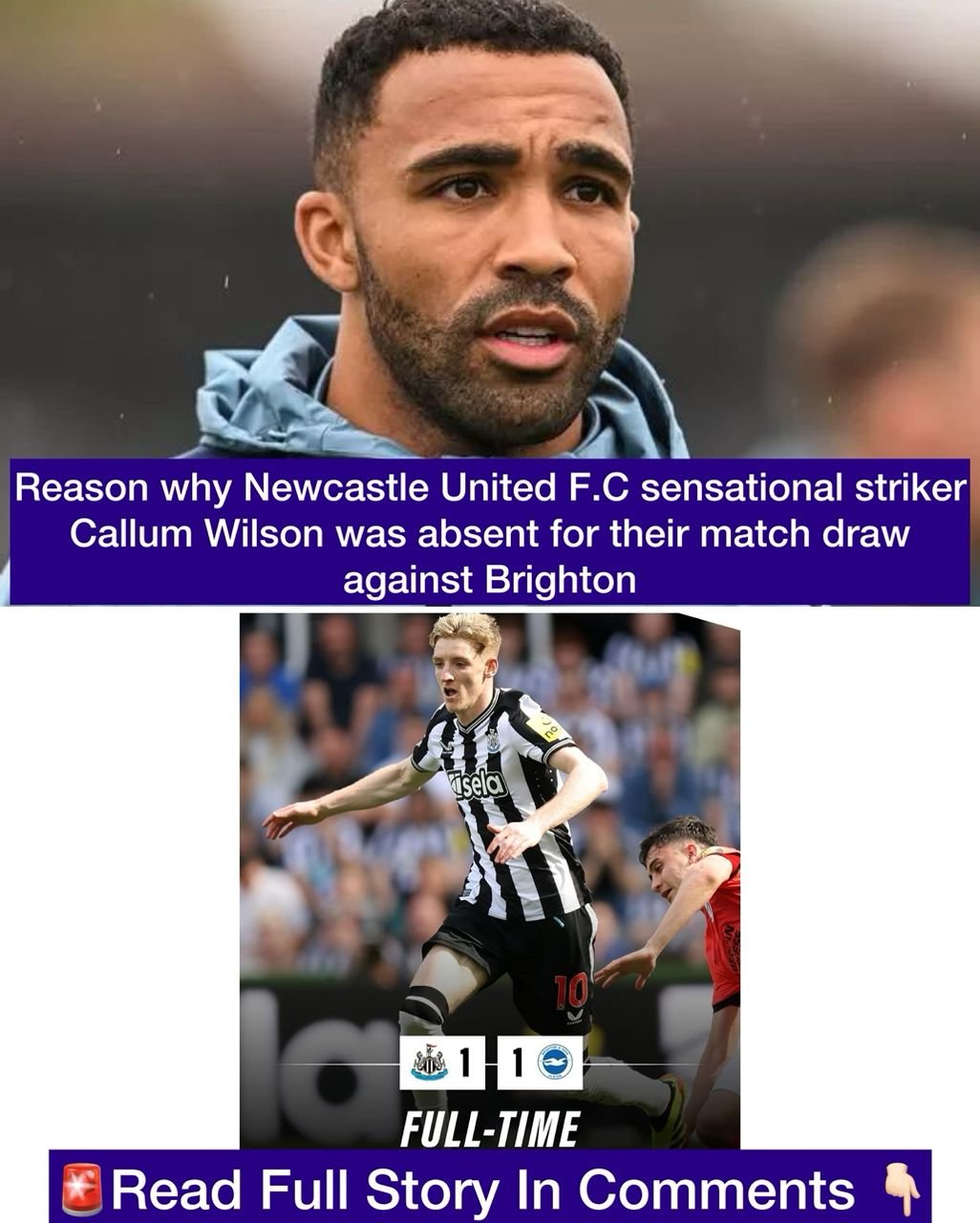 Reason why Newcastle United F.C sensational striker Callum Wilson was absent for their match draw against Brighton