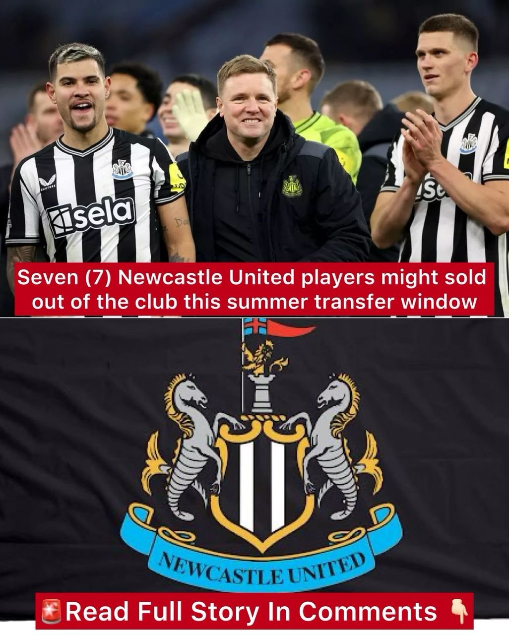 Seven (7) Newcastle United players might sold out of the club this summer transfer window