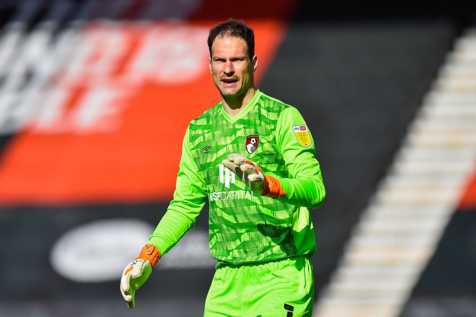 Asmir Begovic