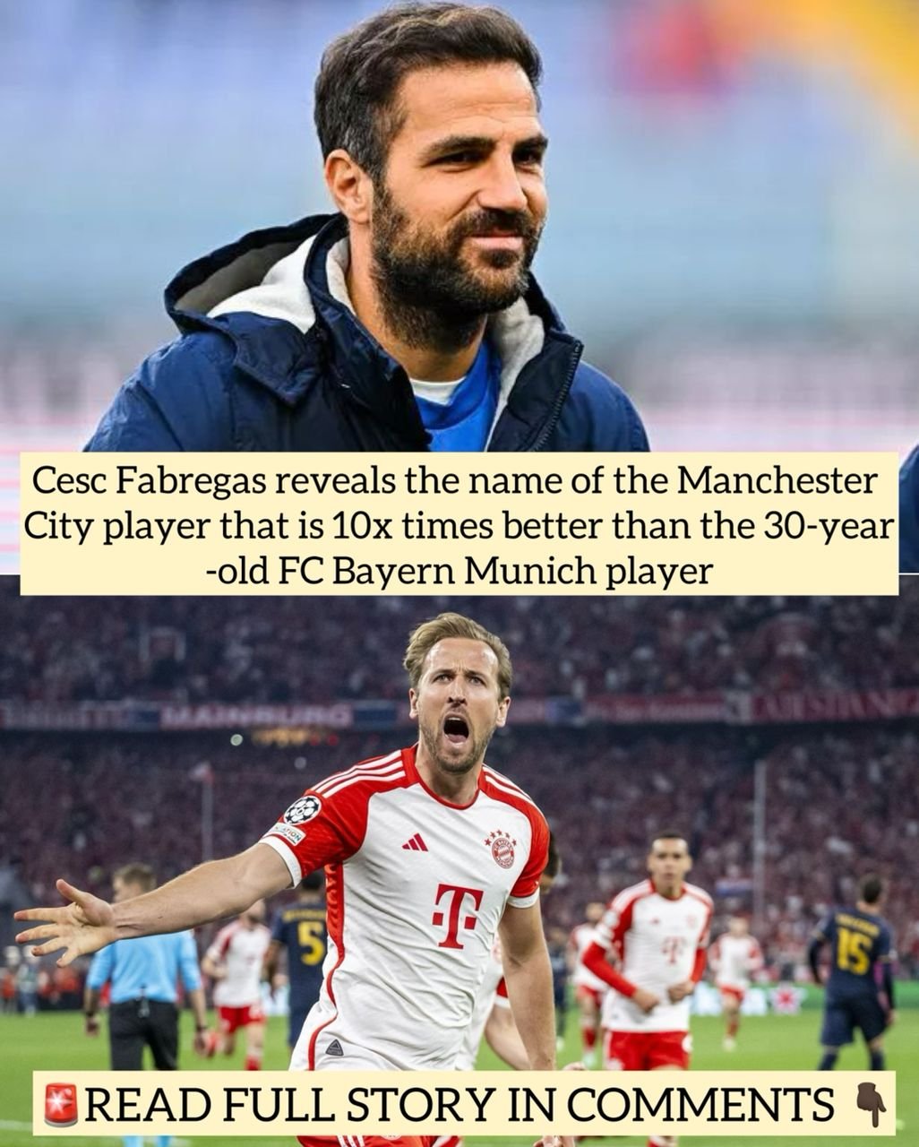 Cesc Fabregas Reveals The Name Of The Manchester City Player That Is ...