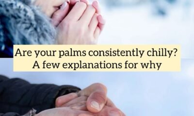 Are your palms consistently chilly? A few explanations for why