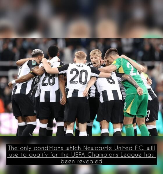The only conditions which Newcastle United F.C. will use to qualify for the UEFA Champions League has been revealed