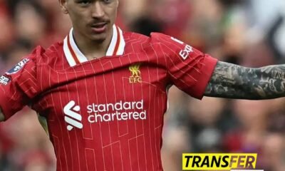 "Agreement Reached" Latest transfer update on Darwin Nunez exit from Liverpool.