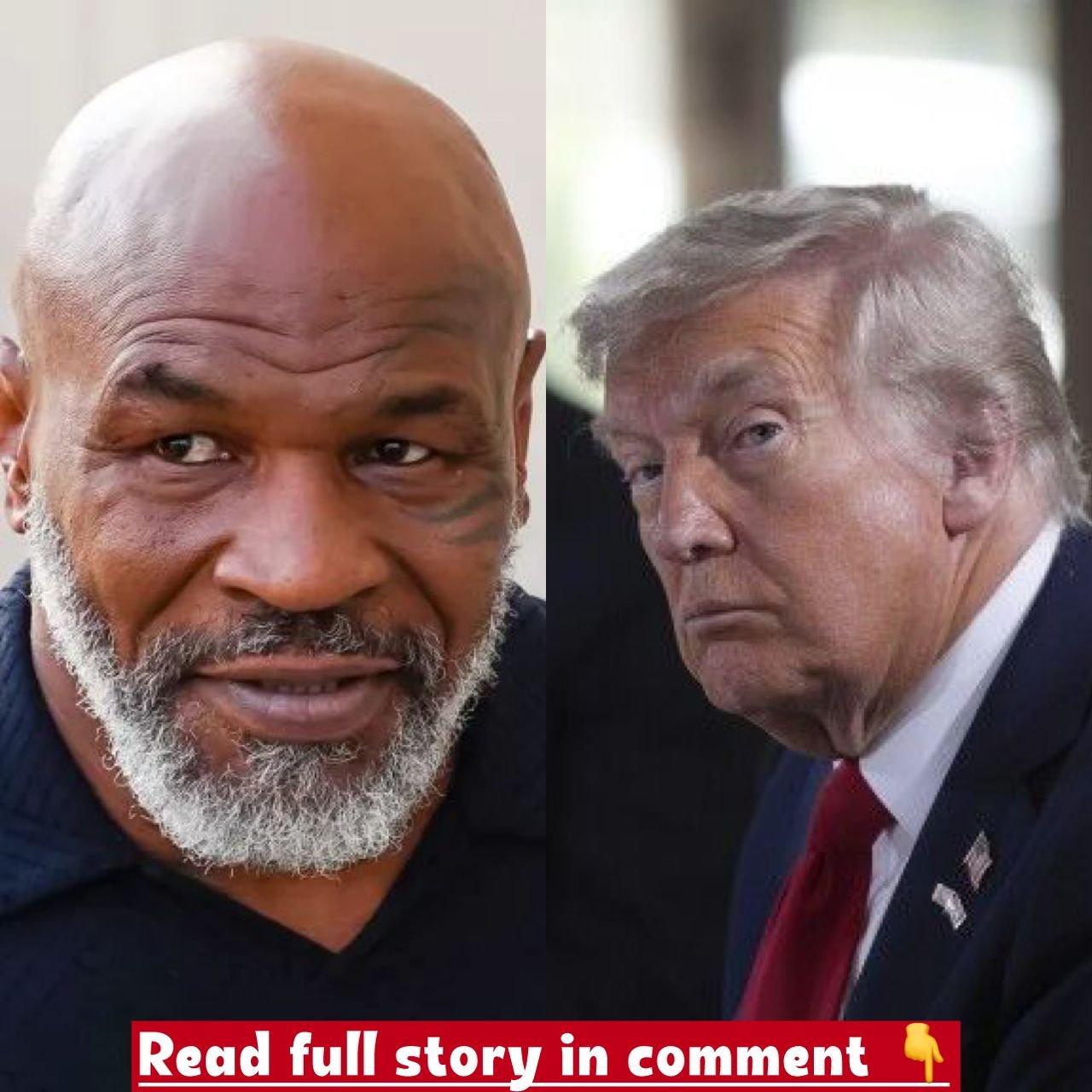The actions taken by American former professional boxer Mike Tyson in response to the rumour? An adultery was being conducted between Donald Trump and his wife