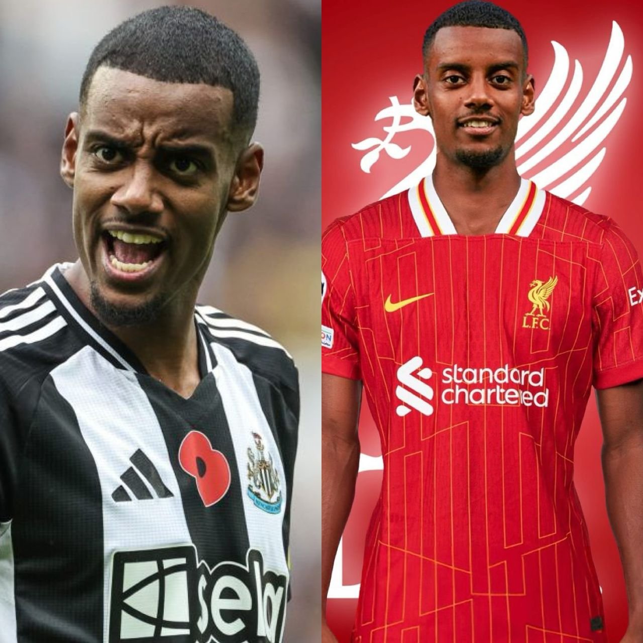 “Only one greedy" Newcastle United supporters slams Alexander Isak with a brutal message over his misconduct in Liverpool transfer interest