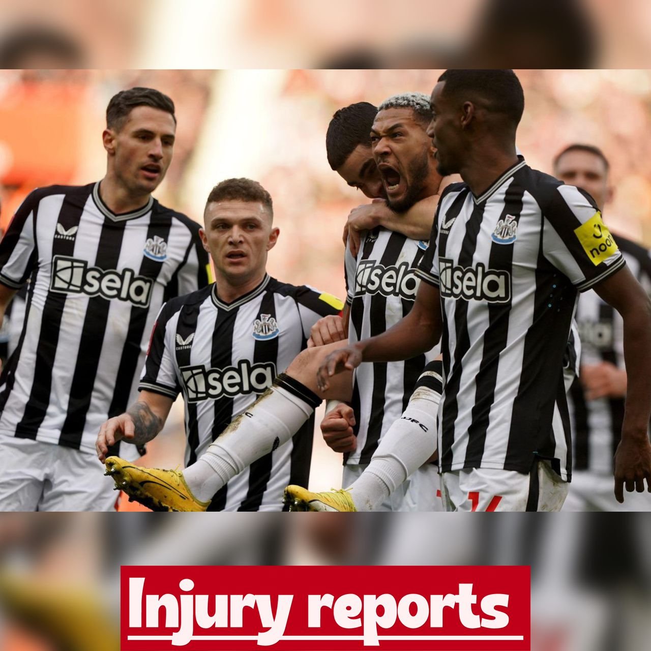 "Huge setback for Newcastle United" As the 29-year-old midfielder has just confirmed fresh injury difficulty and it's to miss three (3) matches