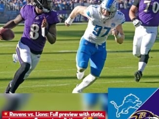 Ravens vs. Lions: Match Predictions, Stats Breakdown, Tips & Latest Team News