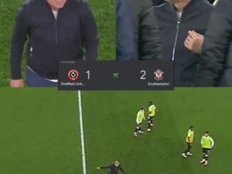The main reason why Sheffield United coach Chris Wilder was sent off the pitch during their match clash against Southampton