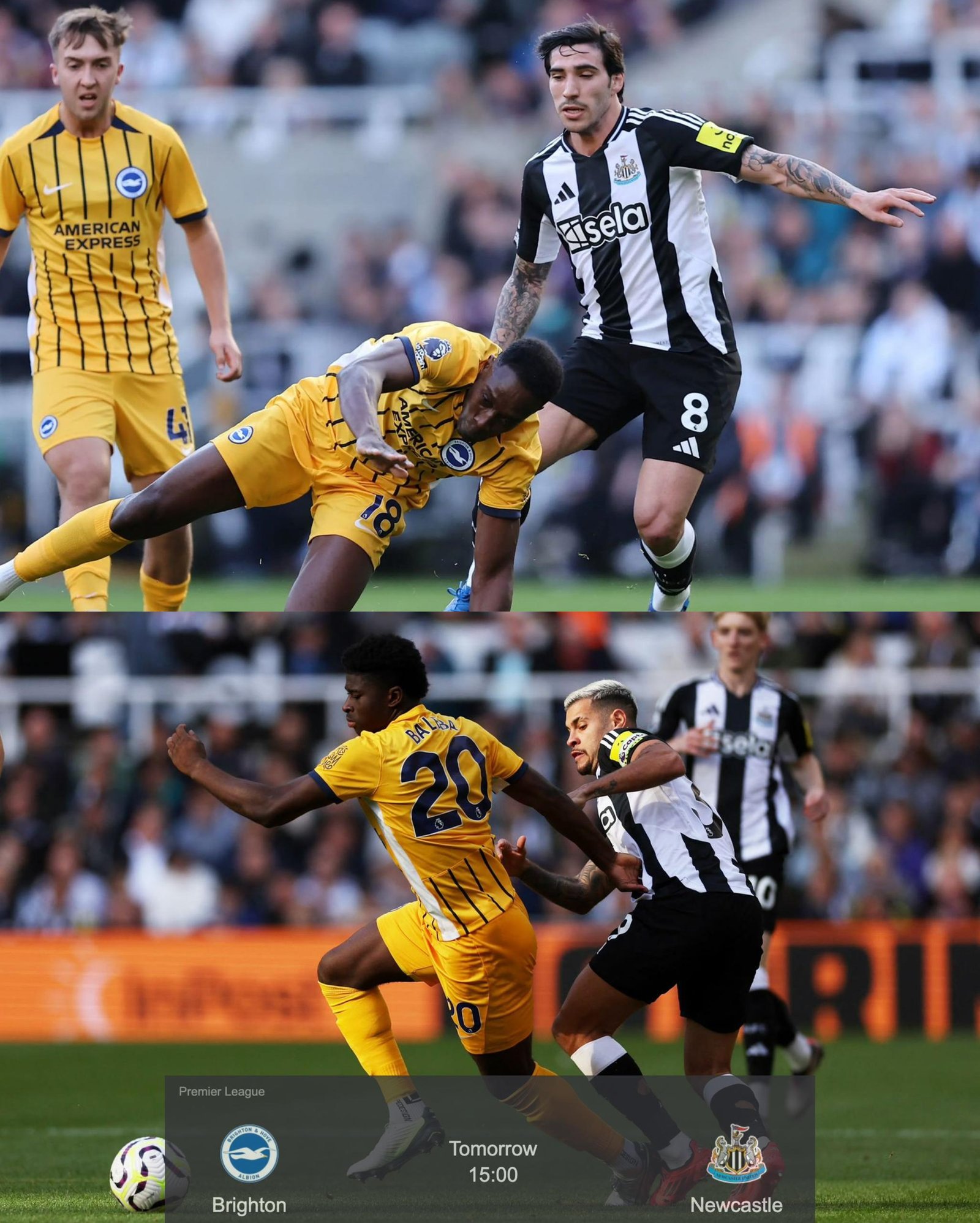 Names of the four (4) key Newcastle United players to miss their match clash against Brighton