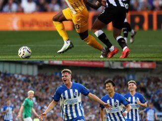 Injury blow: Seven sidelined for Brighton v Newcastle United, with four players still uncertain to feature.