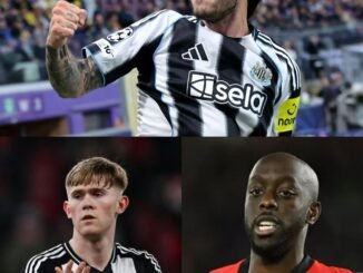 Latest Newcastle United injury news and expected return dates for Sandro Tonali, Yoane Wissa, and Lewis Hall before Fulham and Tottenham fixtures