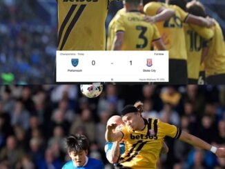 Player ratings: Portsmouth 0 - 1 Stoke City - after Pompey was punished by Own Goal